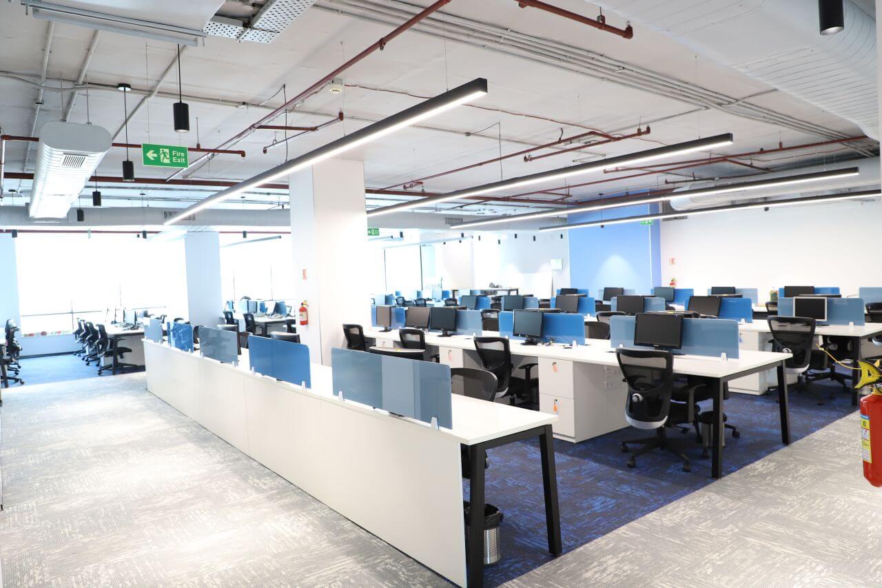 India Carpet Project Reference